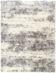 Evetta Modern Light Gray Area Rug