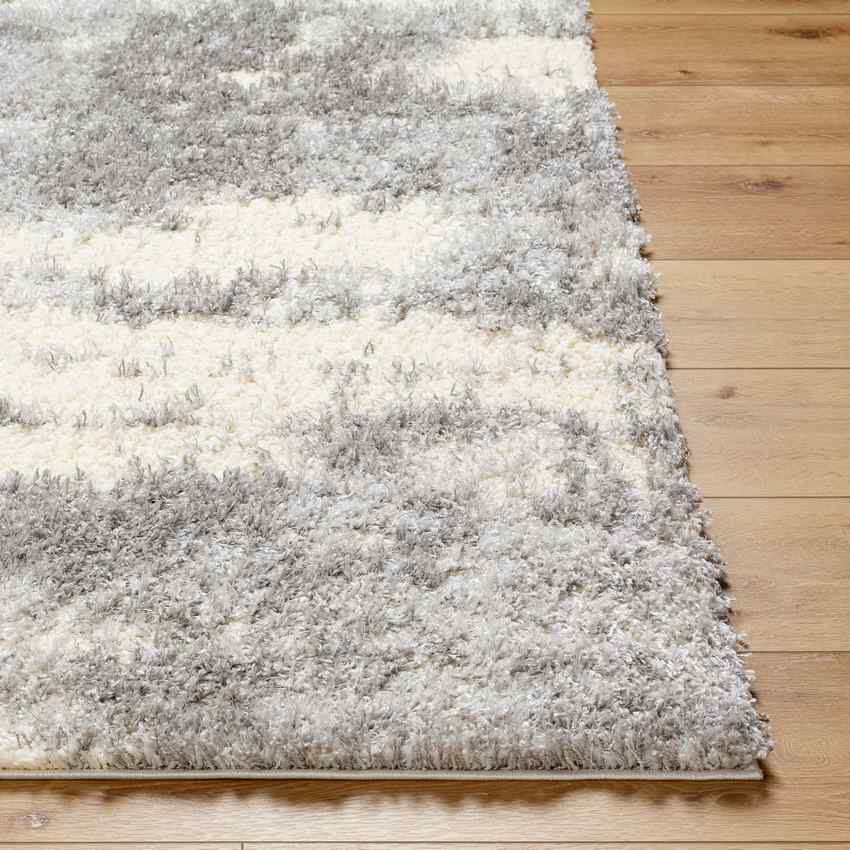 Evetta Modern Light Gray Area Rug