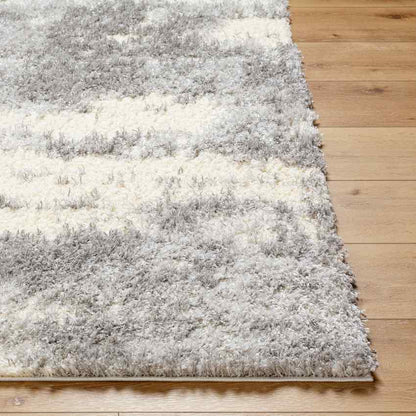 Evetta Modern Light Gray Area Rug