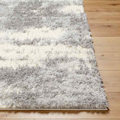 Evetta Modern Light Gray Area Rug