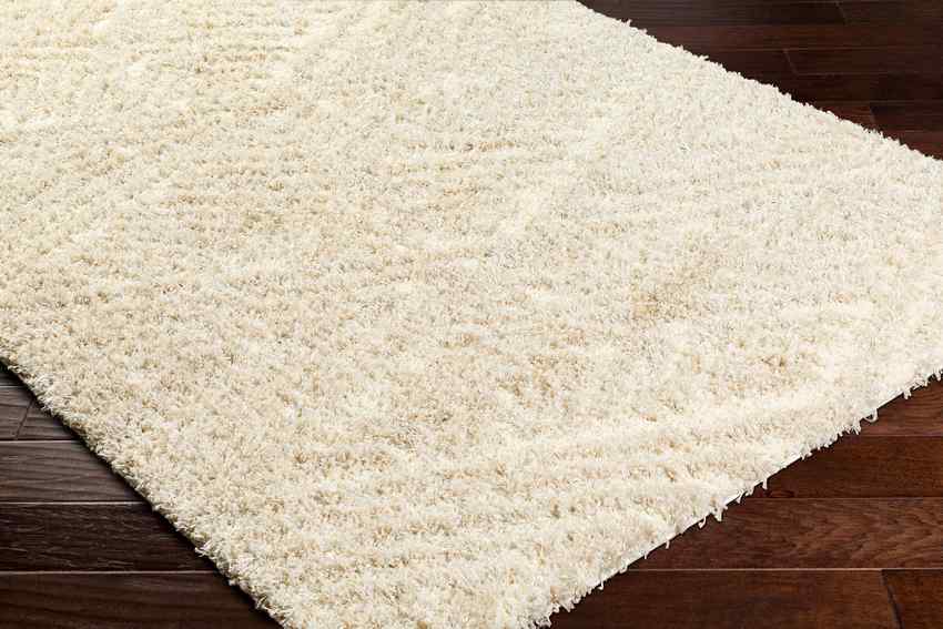 Shadawn Global Ivory/Light Beige Area Rug