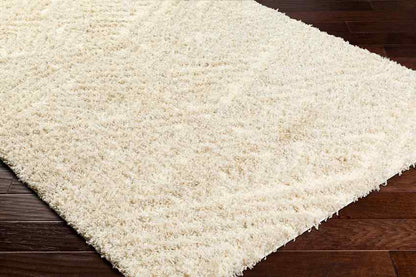 Shadawn Global Ivory/Light Beige Area Rug