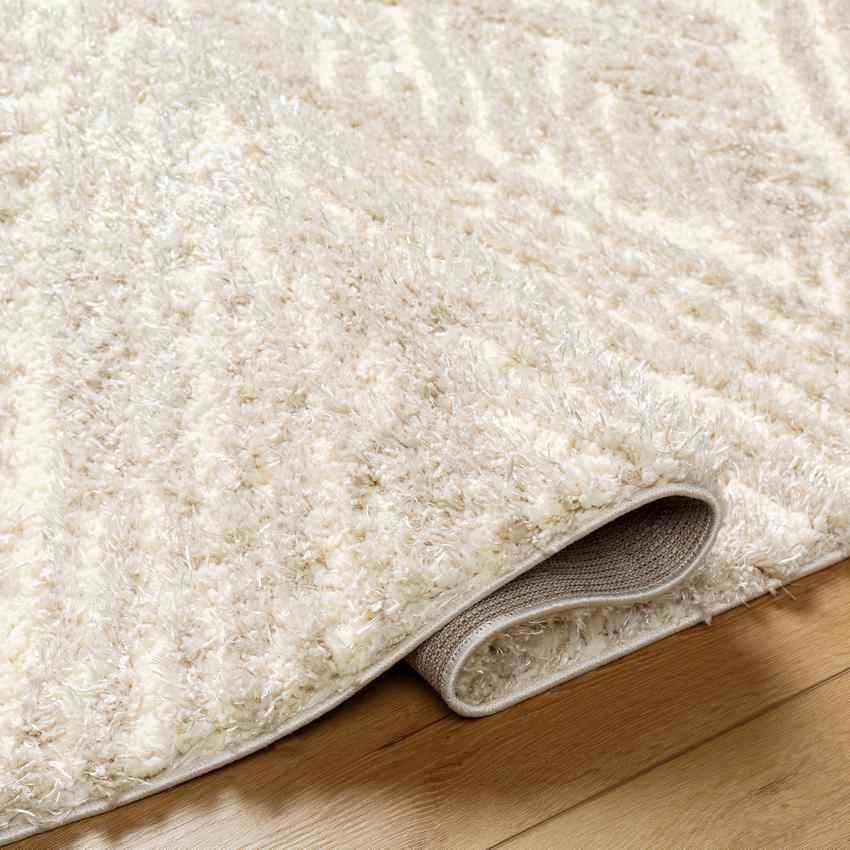 Shadawn Global Ivory/Light Beige Area Rug