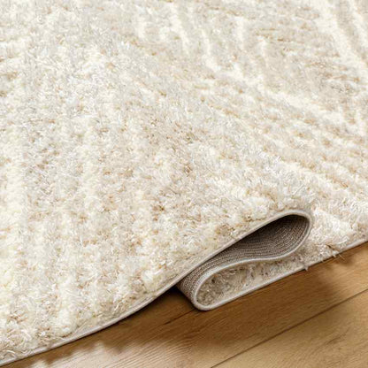Shadawn Global Ivory/Light Beige Area Rug