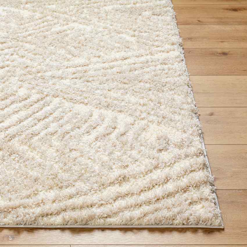 Shadawn Global Ivory/Light Beige Area Rug