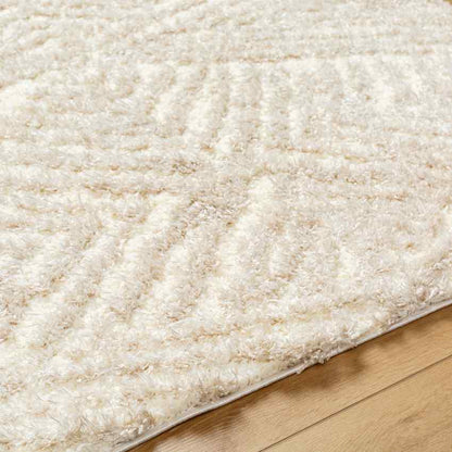 Shadawn Global Ivory/Light Beige Area Rug