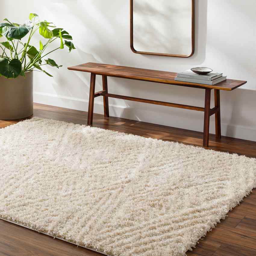 Shadawn Global Ivory/Light Beige Area Rug