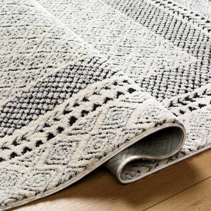 Vada Modern Ivory/Black Area Rug