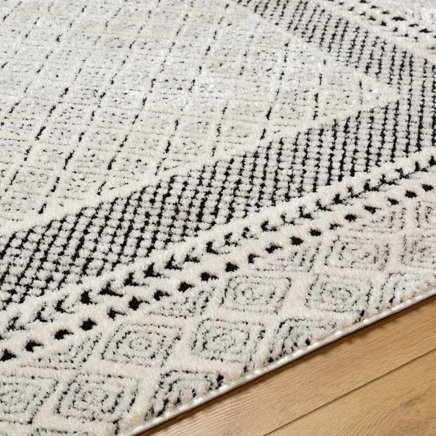 Vada Modern Ivory/Black Area Rug