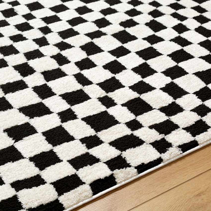 Ilea Modern Black/Ivory Area Rug
