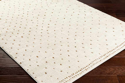 Monisha Modern Ivory/Brown Area Rug