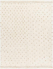 Monisha Modern Ivory/Brown Area Rug