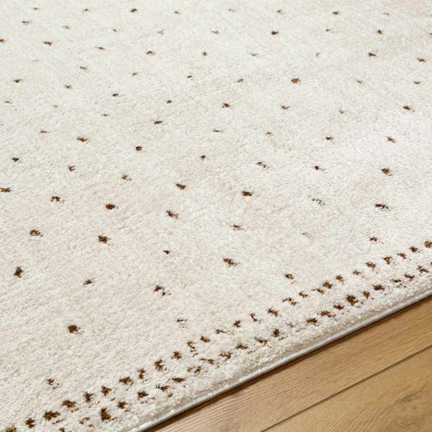 Monisha Modern Ivory/Brown Area Rug