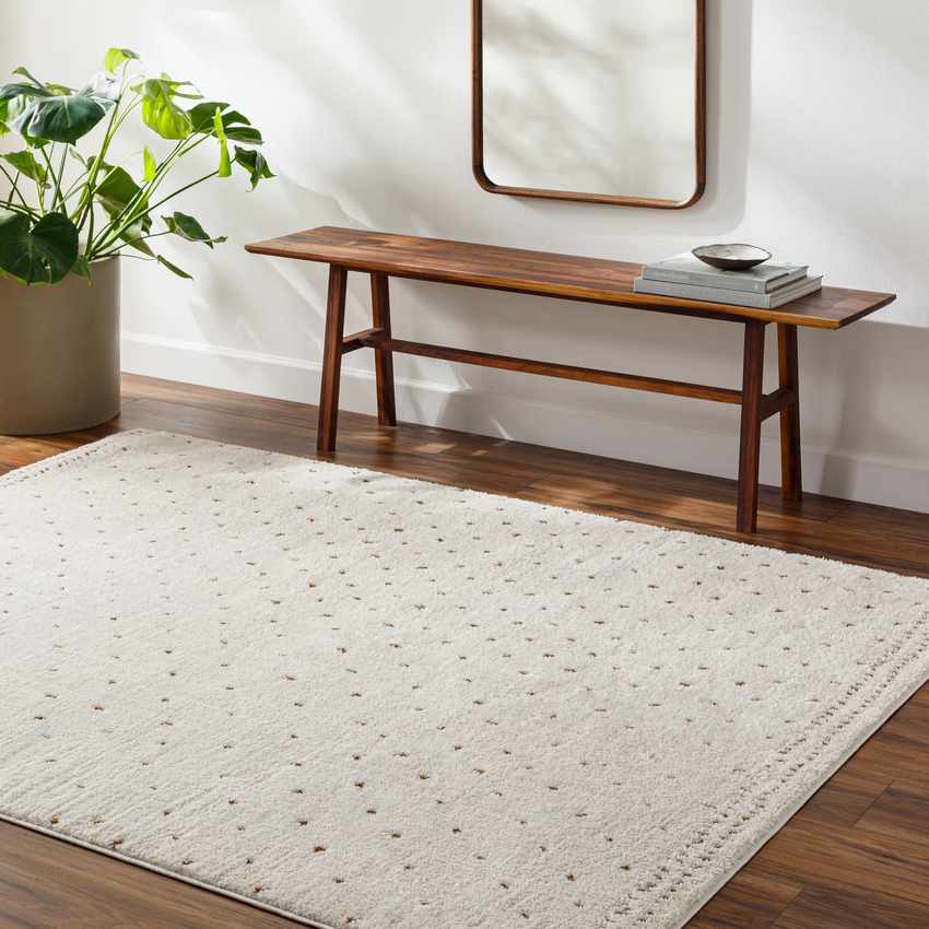 Monisha Modern Ivory/Brown Area Rug