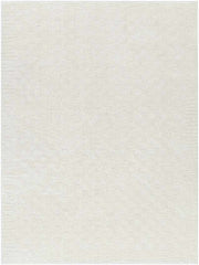 Zechariah Modern Ivory/Off-White Area Rug