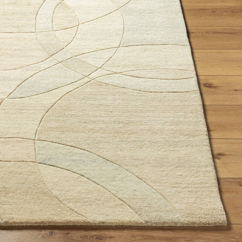 Besancon Modern Ash Area Rug