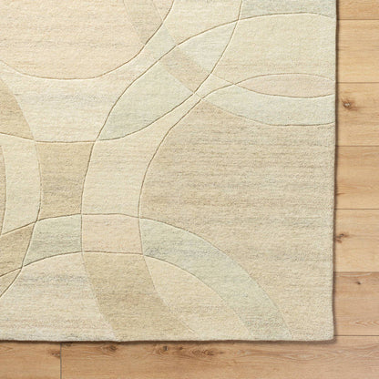 Besancon Modern Ash Area Rug