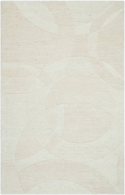 Besancon Modern Light Silver Area Rug