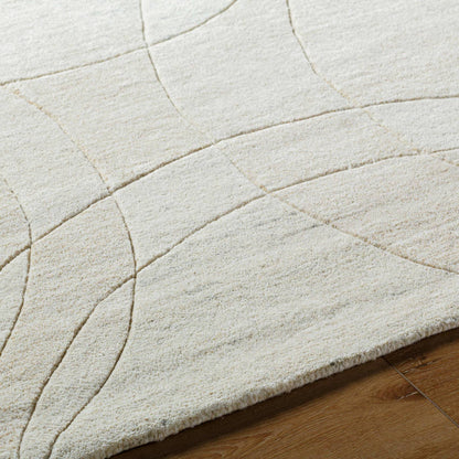 Besancon Modern Light Silver Area Rug