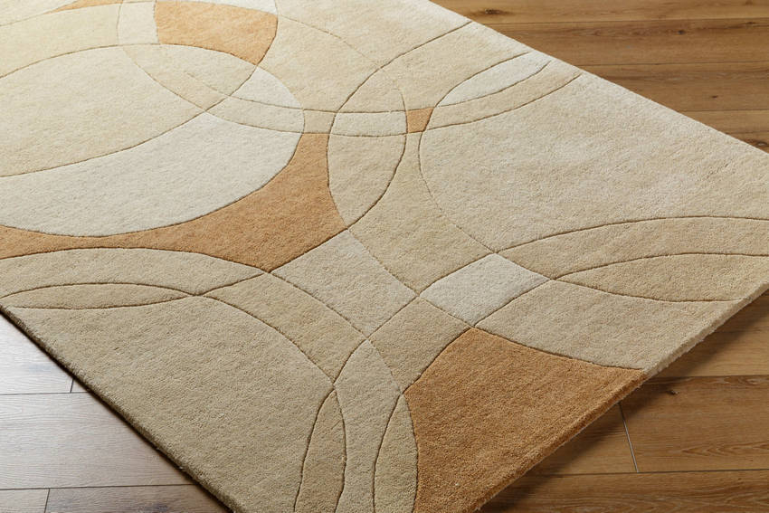 Besancon Modern Camel Area Rug