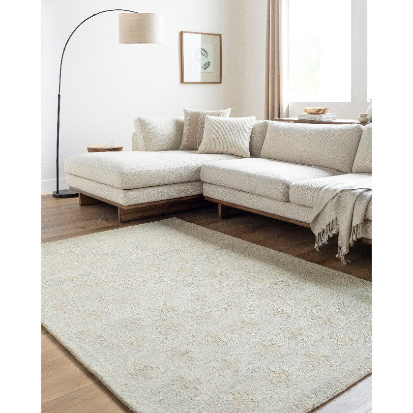 Kashena Modern Wheat/Medium Gray Area Rug