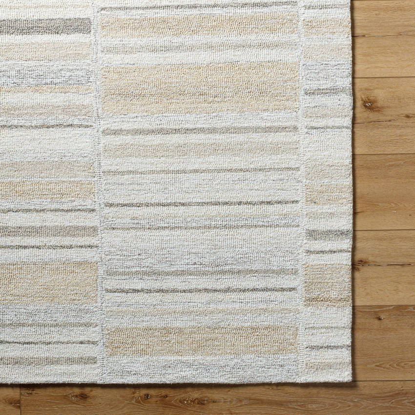 Jacobie Modern Ash Area Rug