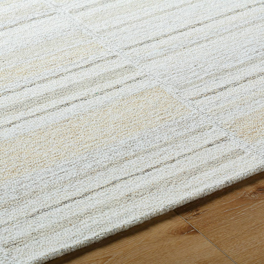 Jacobie Modern Ash Area Rug