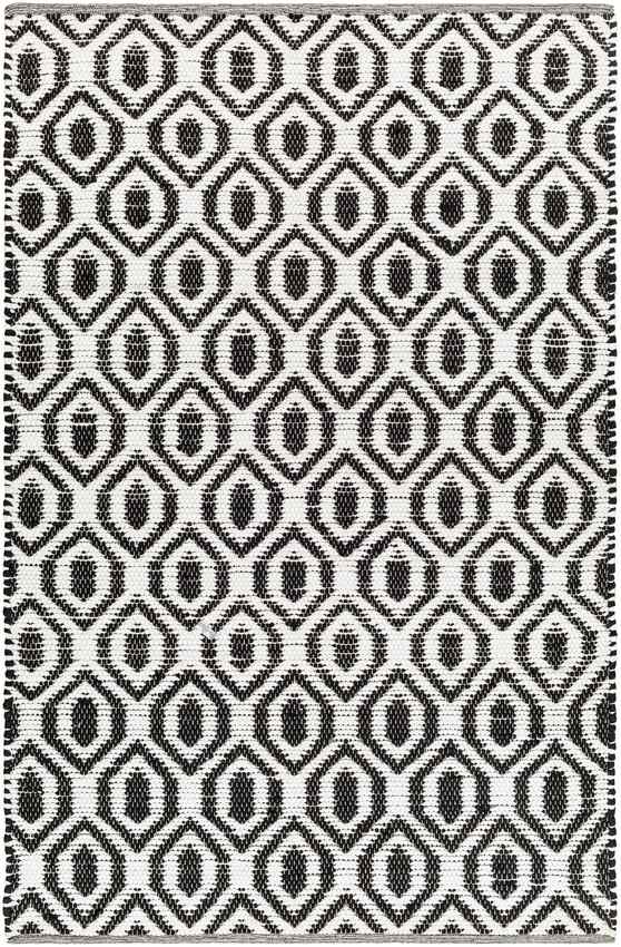 Diandria Modern Black/Ivory Area Rug