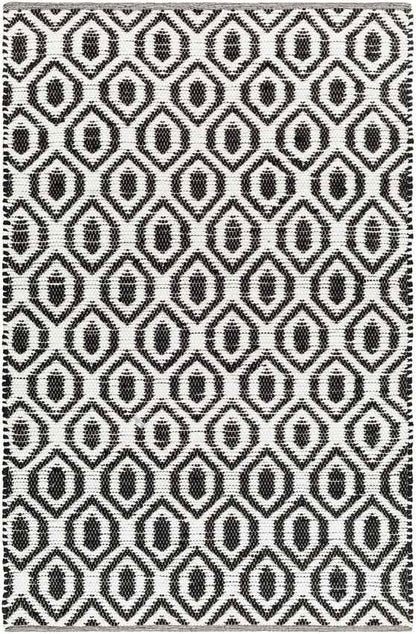 Diandria Modern Black/Ivory Area Rug