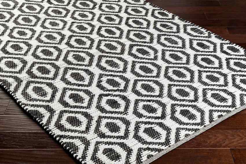 Diandria Modern Black/Ivory Area Rug