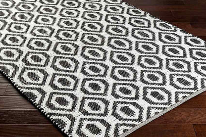 Diandria Modern Black/Ivory Area Rug