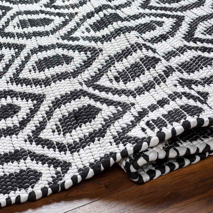 Diandria Modern Black/Ivory Area Rug