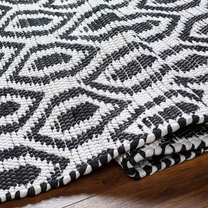 Diandria Modern Black/Ivory Area Rug