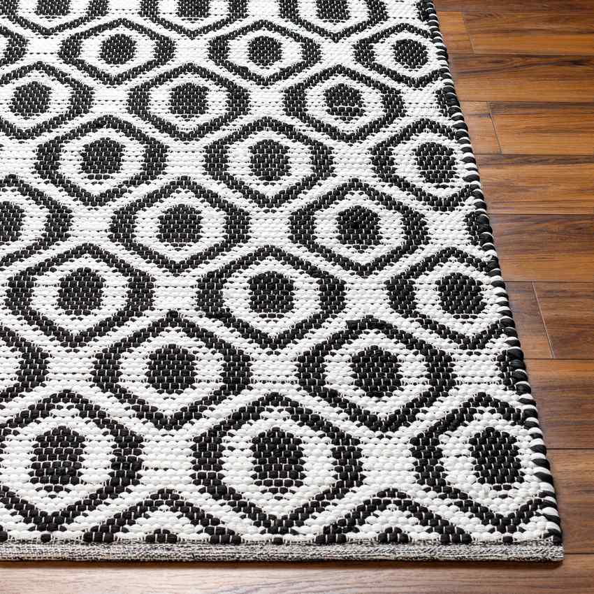 Diandria Modern Black/Ivory Area Rug