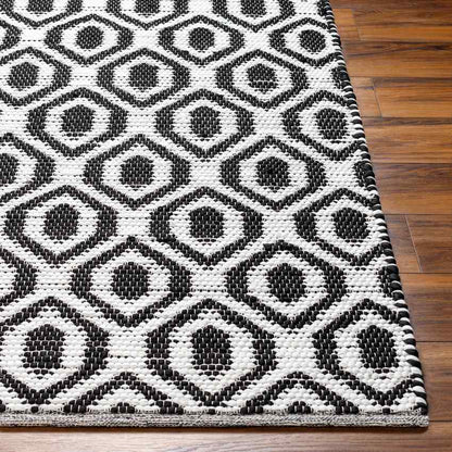 Diandria Modern Black/Ivory Area Rug