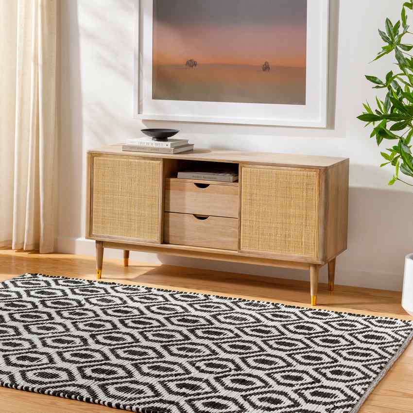 Diandria Modern Black/Ivory Area Rug
