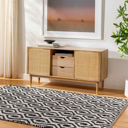 Diandria Modern Black/Ivory Area Rug