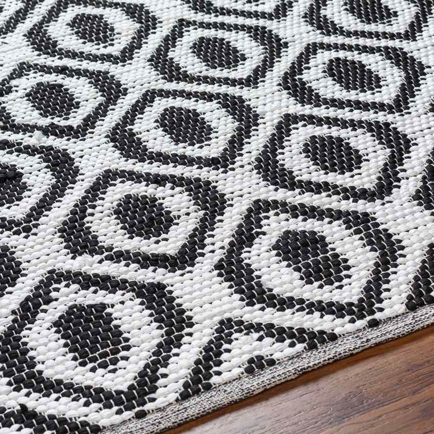 Diandria Modern Black/Ivory Area Rug