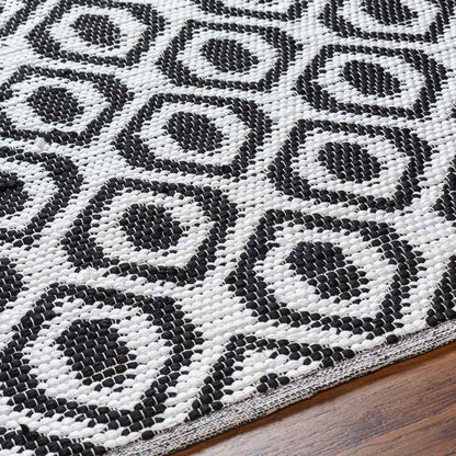 Diandria Modern Black/Ivory Area Rug