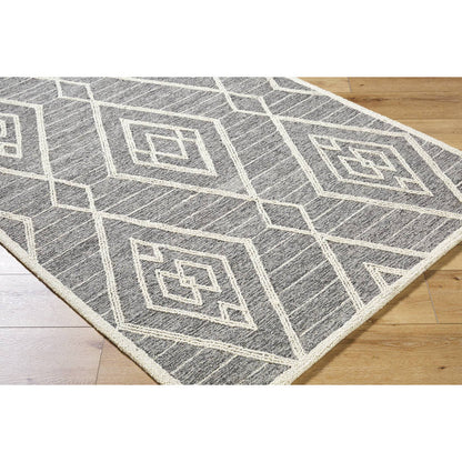Ajit Global Grey Area Rug