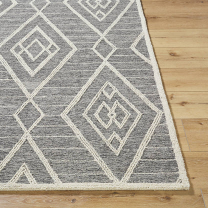 Ajit Global Grey Area Rug