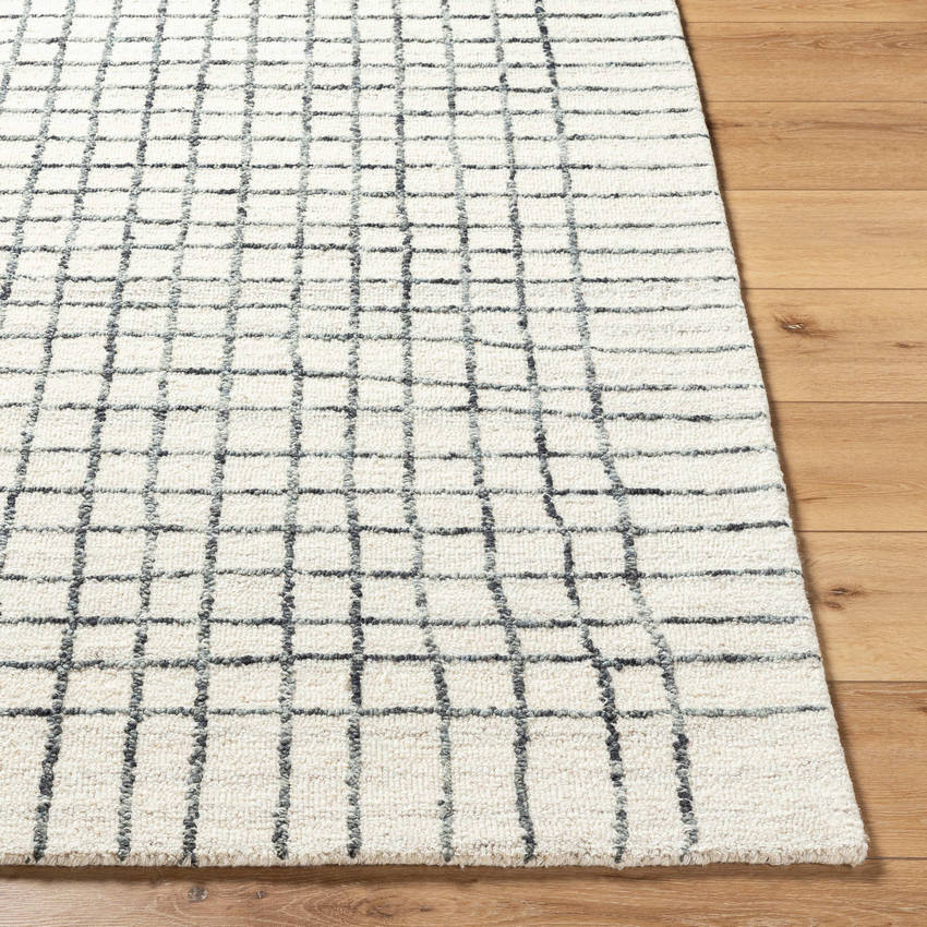 Edinburg Modern Off-White Area Rug
