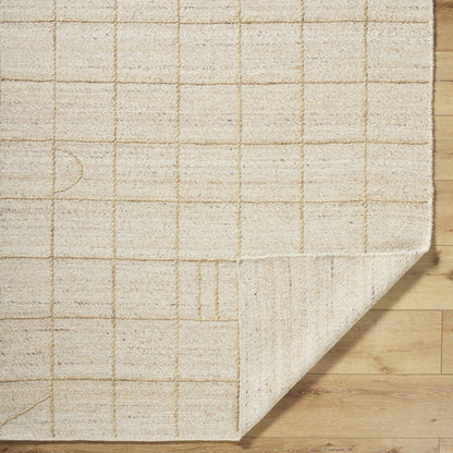 Sharilyn Modern Ash Area Rug