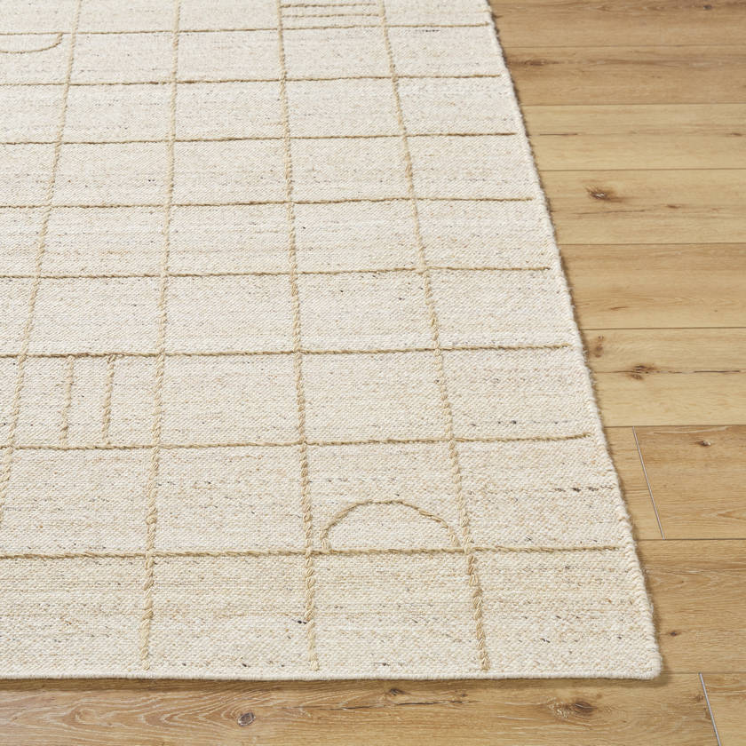 Sharilyn Modern Ash Area Rug
