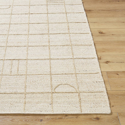 Sharilyn Modern Ash Area Rug