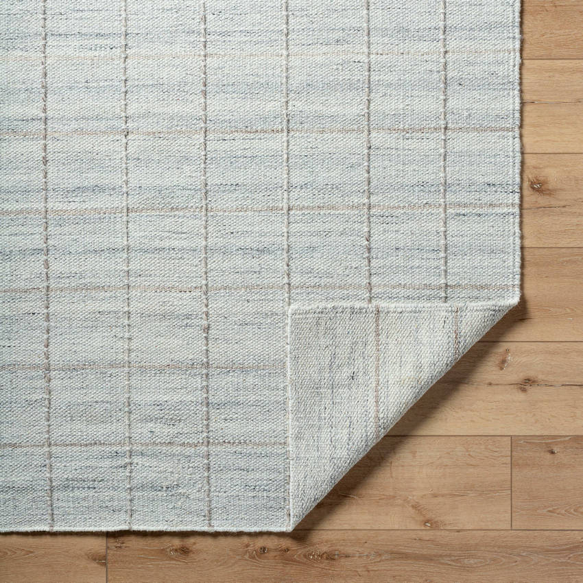 Ishaq Cottage Soft Blue Area Rug