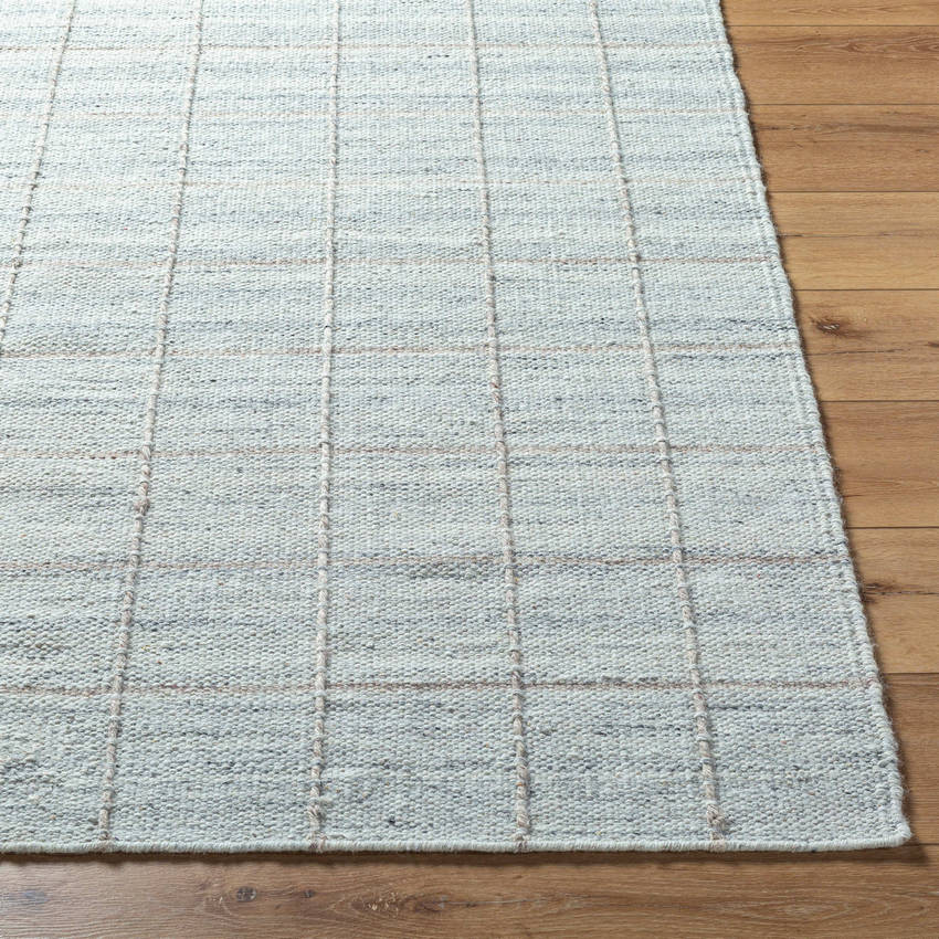 Ishaq Cottage Soft Blue Area Rug