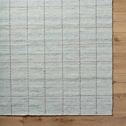 Ishaq Cottage Soft Blue Area Rug