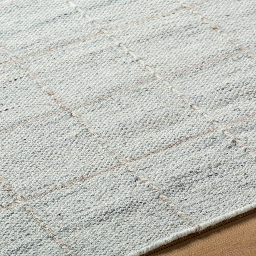 Ishaq Cottage Soft Blue Area Rug