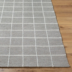 Ishaq Cottage Grey Area Rug
